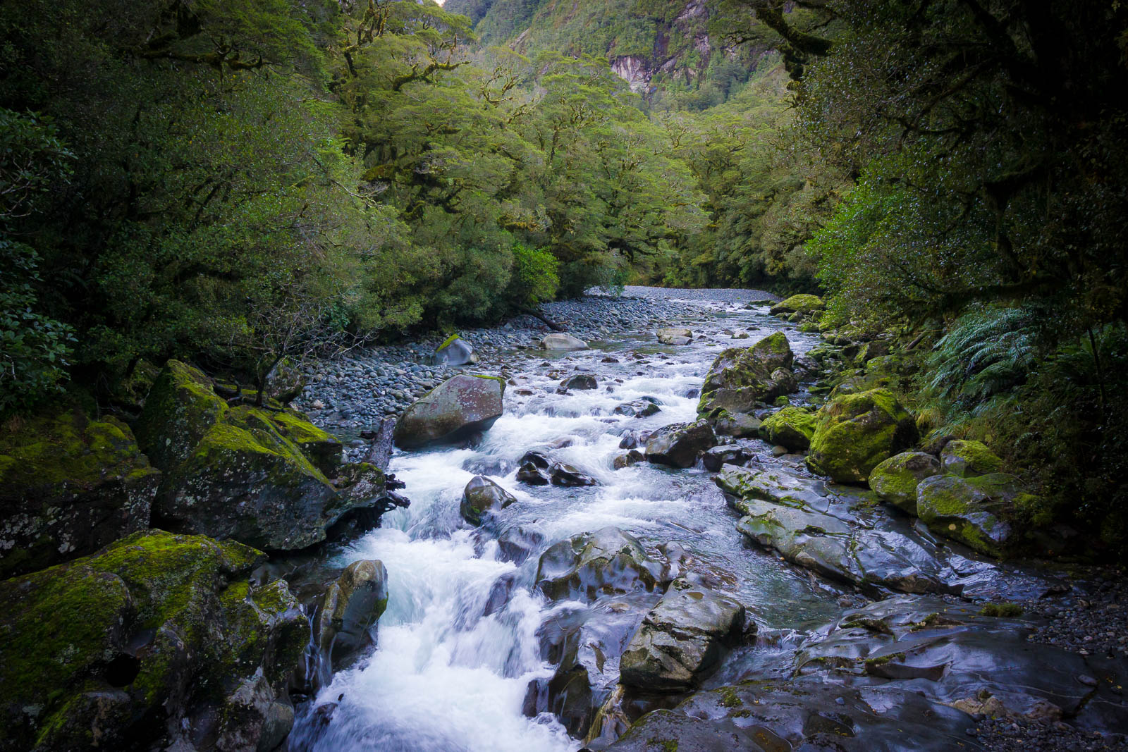 peaceful-river-with-thick-forest-on-sides-find-away-photography