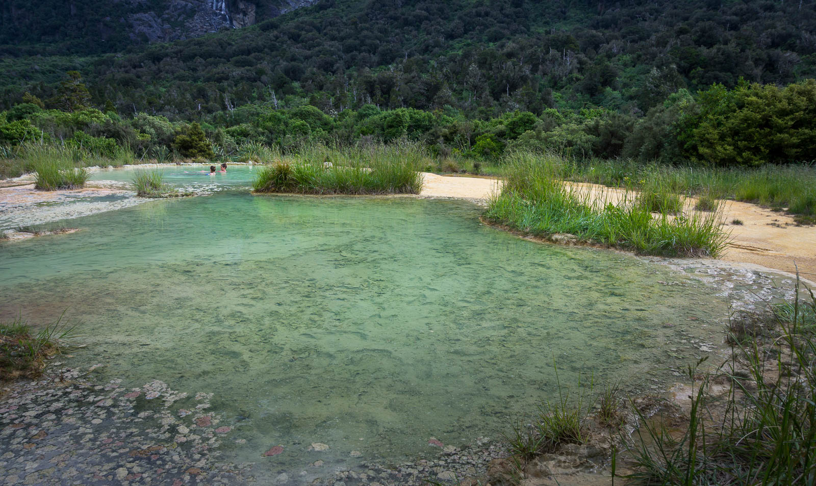 Hot Springs near Flat on Copland Track Find Away Photography