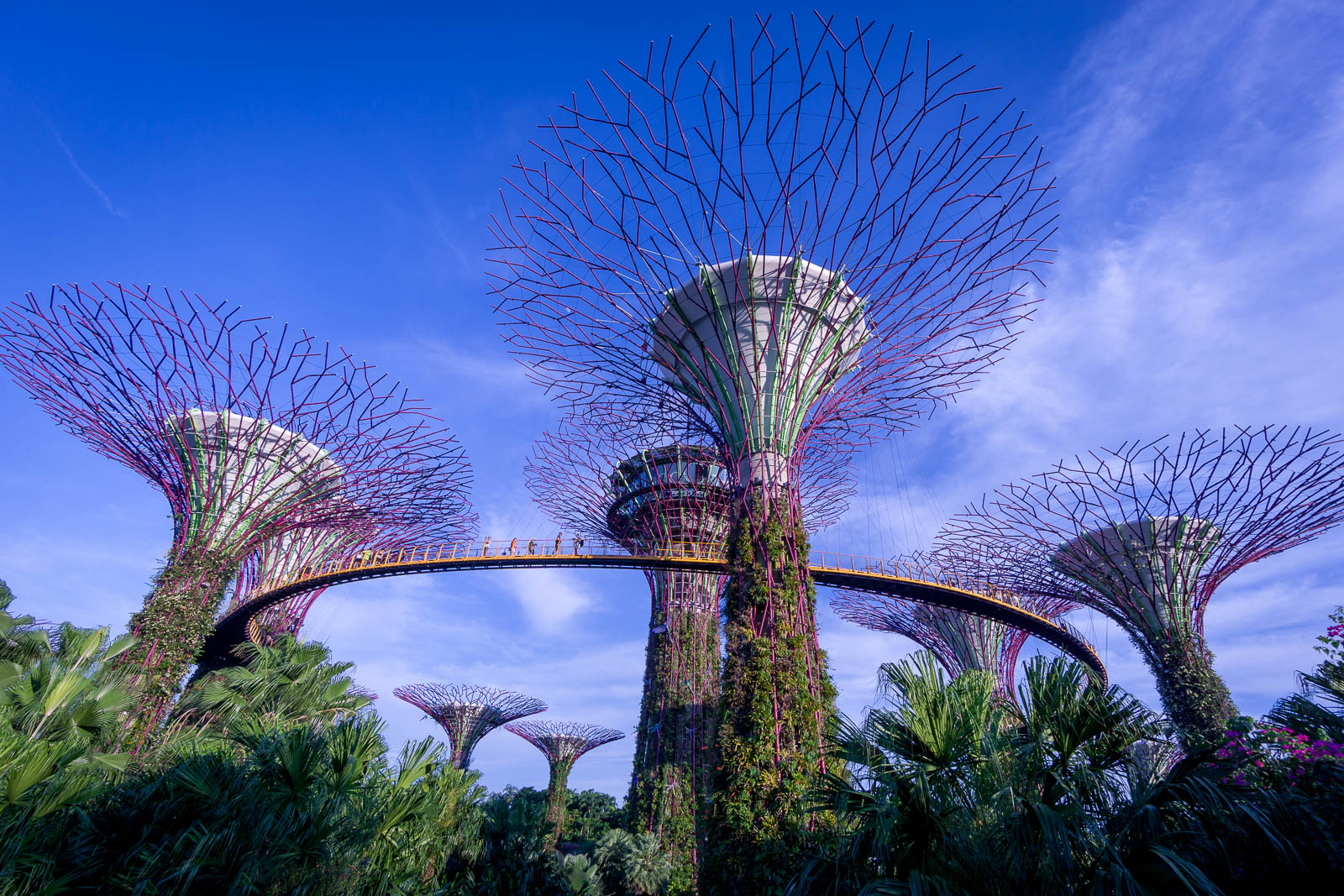 Garden by the Bay Supertree Grove - Find Away Photography